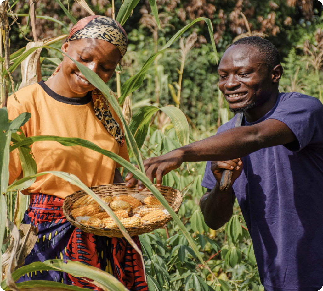 Kenya Plant Health